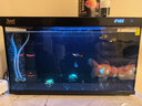 森森金麟超白玻璃鱼缸客厅小型懒人鱼缸LE-480B+增氧泵套餐 实拍图