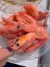 鲜京采熟冻头籽甜虾  净重2斤/盒 90-120只 头籽率90% 年货礼盒款 实拍图