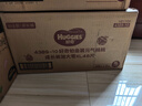 好奇（Huggies）铂金装小桃裤拉拉裤加大号XL48片(12-17kg)尿不湿【透爽散热】 实拍图