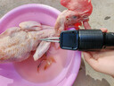 三个小厨全自动家禽拔毛器电动去鸡鸭鹅毛神器多功能防水充电加商用脱毛机 【行业TOP1】大功率至尊款【双电机】充插两用 官方旗舰正品 假一赔十 30天免费试用 不满意包退 实拍图