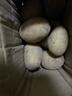 【富硒产区】恩施小土豆马铃薯新鲜高山农家迷你小洋芋【活动】 恩施小土豆一斤【鸡蛋大小，净重】 实拍图