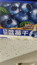 三只松鼠每日蓝莓干256g/16包 无添加水果干果脯小包装儿童老人办公室零食 实拍图