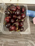 京鲜生 智利进口车厘子3J级 5斤装 果径约30-32mm 新鲜水果年货礼盒 实拍图