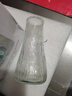 透明玻璃深海花瓶ins风植物干花插花水培大容器台面装饰客厅摆件 透明水波纹(17*5.5*8) 1个装 实拍图