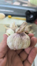 京鲜生河南杞县大蒜带皮新鲜干蒜净重2斤 单果4.5-5cm 源头直发包邮 实拍图
