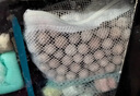 派乐特 鱼缸中空石英球过滤材料细菌屋硝化培菌球桶龟缸生化石水族箱 实拍图