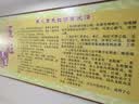 都乐Dole 秋月梨 核心产区直发 脆甜多汁 秋月梨净重1.6kg约 4-7枚【店长推荐】 实拍图