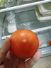 京鲜生陕西泾阳普罗旺斯西红柿净重4.5斤 单果100g起沙瓢番茄源头直发 实拍图