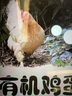 九華粮品有机富硒土鸡蛋20枚 净重1.6斤 散养草鸡蛋 柴鸡蛋 礼盒 实拍图