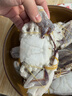 舟山梭子蟹鲜活特大野生大螃蟹新鲜冷冻海鲜水产海蟹飞蟹白蟹顺丰 5-7两/只【4斤 个大肉多】 实拍图