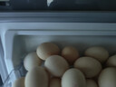 京鲜生【每日鲜蛋】无抗谷物鸡蛋30枚 3.18斤 当日产蛋 当日发货 实拍图