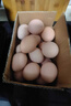 京鲜生【每日鲜蛋】无抗谷物鸡蛋30枚 3.18斤 当日产蛋 当日发货 实拍图