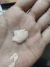 卡姿兰（Carslan）小奶猫粉底液遮瑕持久保湿提亮不脱妆干皮01#玉瓷色30g情人节礼物 实拍图