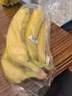 黄胖子进口香蕉650g 实拍图