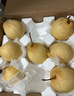 YUANDA河北青皮皇冠梨脆甜多汁特产生鲜翠冠梨苹果梨水果生鲜 净重4.5斤装 实拍图