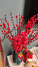 【红色招财银柳】干花真花鲜枝耐寒年宵花水培花卉室内摆放装饰花 60厘米【30支】送灯笼 实拍图