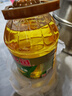 金龙鱼 食用油 非转基因 压榨 一级 纯正玉米油4L（新老包装随机发货） 实拍图