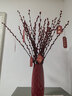 花行榜鲜枝年宵花卉干花 60cm大红银柳30枝+红波浪瓶+10个挂件源头直发 实拍图