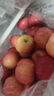 京鲜生 烟台红富士苹果 净重10斤  单果160g以上 水果礼盒 实拍图