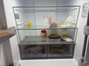 海尔（Haier）「家宴系列」539L十字门母婴冰箱黑金净化抗菌一级变温风冷无霜大容量BCD-539WGHTDEDH9U1国家补贴 实拍图