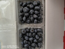 怡颗莓Driscoll's云南蓝莓Jumbo大果18mm+12盒约125g/盒 水果年货礼盒 实拍图