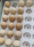 京鲜生富硒鲜鸡蛋30枚 3斤 源头直发 实拍图