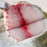 翔泰海南深海金鲳鱼700g 2条 火锅 年货节生鲜鱼类 BAP认证 海鲜水产  实拍图