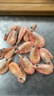 渔吻北极甜虾原装进口头籽刺身特大号北极熊腹籽甜虾冰虾元宝虾满籽虾 腹籽甜虾 4斤(净重) 实拍图