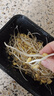 七鲜【有机】黄豆芽 200g 实拍图