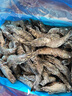 禧美海产 鲜冻大号黑虎虾 净重3斤装 45-60只/盒 单冻大虾 海鲜 年货 送礼 实拍图