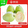 京觅福建奶油芭乐 单果150g起  净重3斤装番石榴 水果  源头直发包邮 实拍图