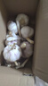 【百万单爆品】紫白皮蒜水果大蒜超市生鲜蔬菜调料即食蒜 【优选】 1斤 单果3.5-5cm 实拍图
