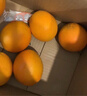 京鲜生 江西赣南脐橙橙子 净重8斤装 单果200g+ 水果年货礼盒 源头直发 实拍图