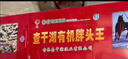 查干湖鱼 冬捕有机查干湖胖头鱼10.5-11斤 1条 过年货礼盒春节礼品 实拍图
