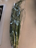 安心韭菜250g 实拍图