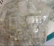 山泽 超五类网线水晶头 cat5e电脑千兆网络连接器 RJ45工程级8P8C超5类镀金水晶头 100个/盒 WL-5100 实拍图