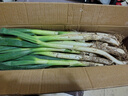 正宗山东大葱铁杆长葱好吃新鲜脆甜香章丘大葱葱头当季蔬菜可生吃 9斤【源头直采包邮】 实拍图