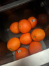 美国进口新奇士3107黑标脐橙Sunkist进口橙子甜橙单果170-210克 10个大果 实拍图