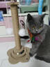 HELLOJOY猫抓柱剑麻猫抓板猫玩具耐抓耐磨不掉屑猫爬架立式自嗨解闷用品 实拍图