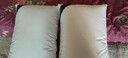 五星级酒店同款枕头枕芯舒适睡眠专用一对家用学生宿舍不塌陷枕头 白色经典款【中枕】 【一对装+枕套】 实拍图
