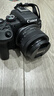 佳能（Canon）佳能R10 入门级微单相机 eos r10半画幅无反 Vlog拍摄 4K高清视频 学生旅行家用 拍摄必备套装 实拍图