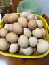 忆乡岭鸡蛋 散养谷物蛋 农家山林喂养 初生鲜土鸡蛋 50枚2000g装 实拍图