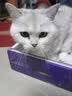 GO！SOLUTIONS无谷三种鱼全猫粮8磅/3.63kg多肉成猫幼猫通用原装进口  新鲜效期 实拍图