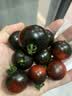 京东物流花盆绿植盆栽青山盆控根盆透气树脂塑料多肉月季大号花盆 控根5号（口径24cm）2个盆 不带托盘 实拍图