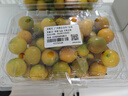 京鲜生 广西脆皮金桔/金橘 净重2斤 单果12g起 生鲜水果 实拍图