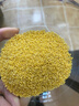 沁州小米2斤( 500g*2)真空五谷杂粮 孕妇月子小米粥 营养粗粮早餐新米 实拍图