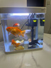 技研精工（JIYJNJINGGONG）鱼缸客厅小型家用带增氧桌面超白玻璃过滤免换水生态懒人鱼缸240 实拍图