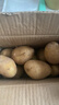【东东农场专供】25年山东新鲜土豆黄心黄皮马铃薯黄心土豆蔬菜 黄皮黄心土豆 2斤 净重 中大果 实拍图