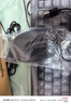 罗技（Logitech）MK106 键鼠套装 有线键鼠套装 办公键鼠套装 电脑键盘 紧凑型 黑色 实拍图