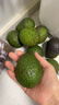 京鲜生云南哈斯牛油果中大果8粒 单果130g-160g 生鲜水果 源头直发包邮 实拍图